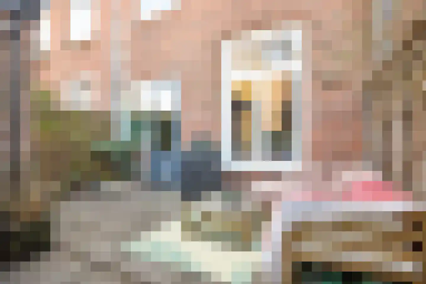 Saenredamstraat 5 ZW Haarlem thumbnail 6
