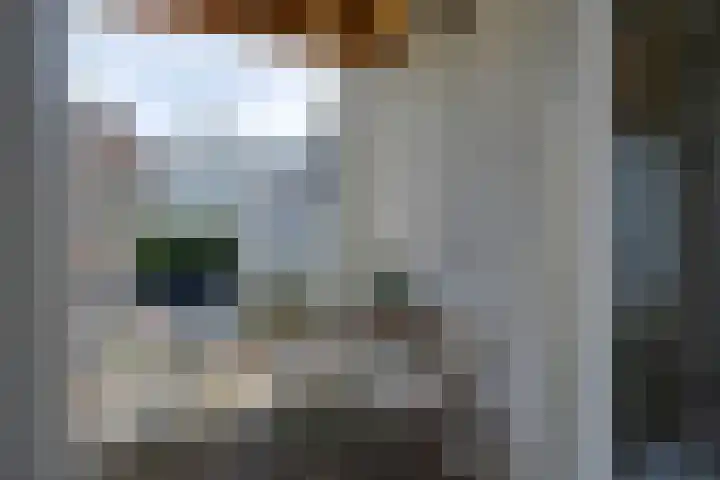 Saenredamstraat 59 A 3 Amsterdam thumbnail 4
