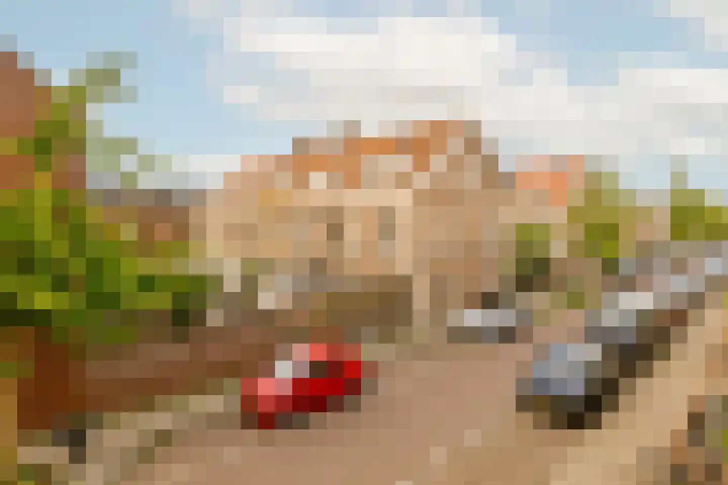 Saenredamstraat 64 RD Haarlem thumbnail 18