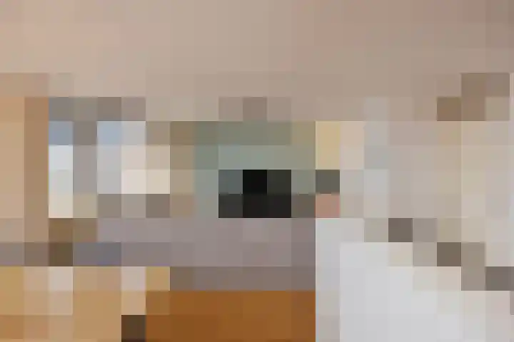Saenredamstraat 69 Eindhoven thumbnail 10