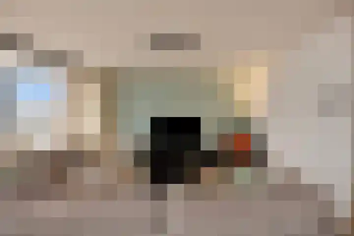 Saenredamstraat 69 Eindhoven thumbnail 11