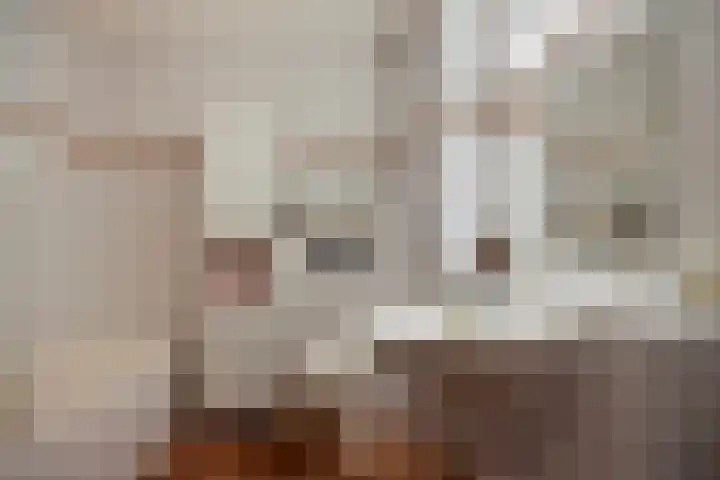 Saenredamstraat 69 Eindhoven thumbnail 16