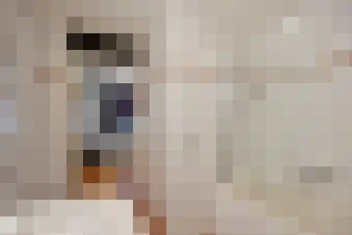 Saenredamstraat 69 Eindhoven thumbnail 18