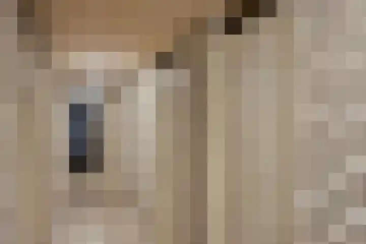 Saenredamstraat 69 Eindhoven thumbnail 24