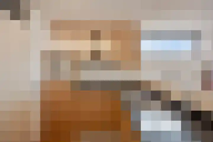 Saenredamstraat 69 Eindhoven thumbnail 8