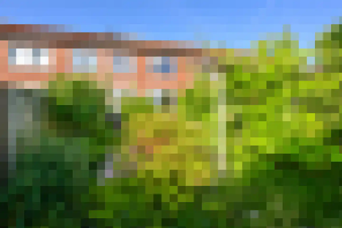 Saenredamstraat 7 Assendelft thumbnail 11