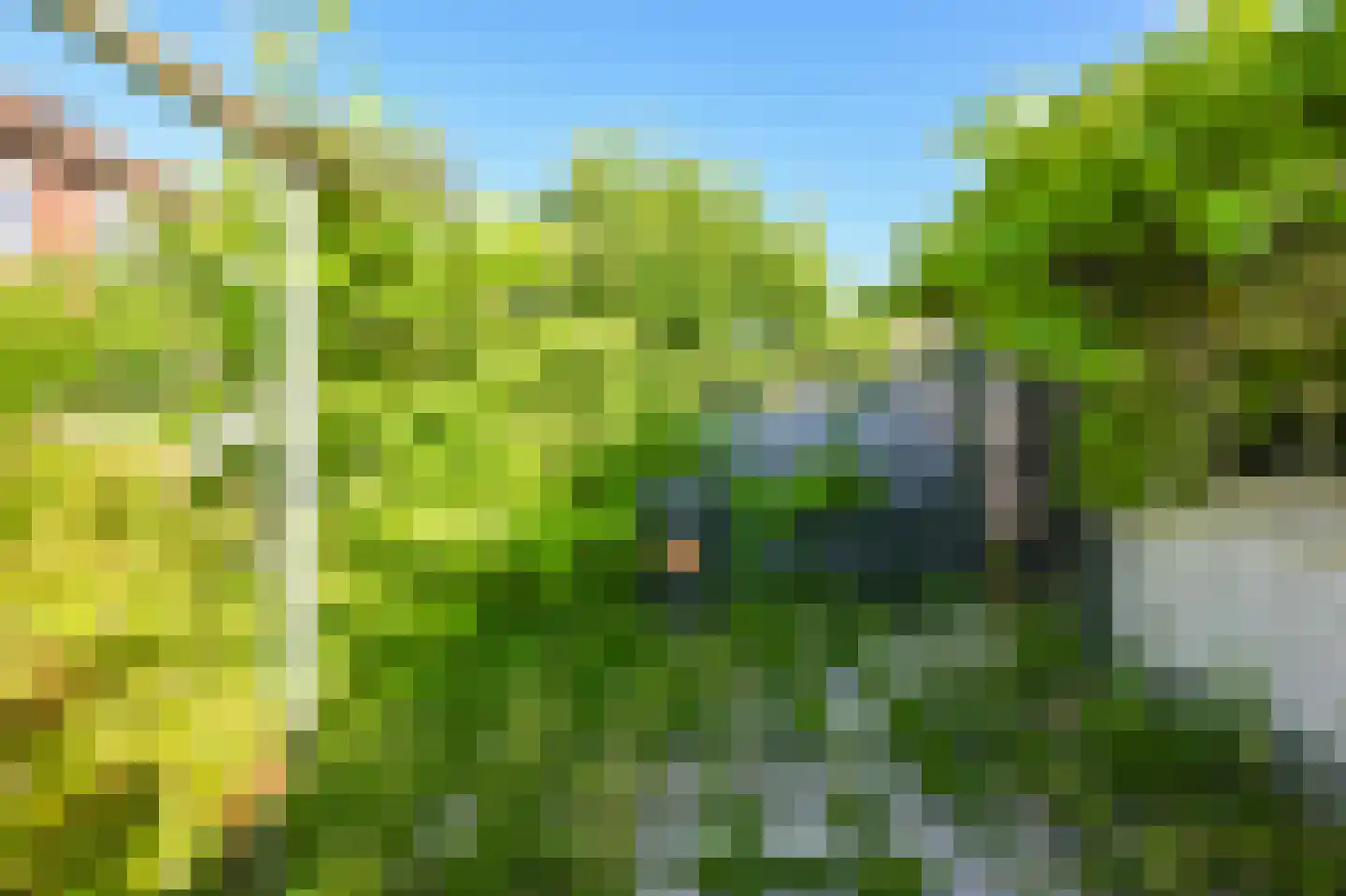 Saenredamstraat 7 Assendelft thumbnail 13