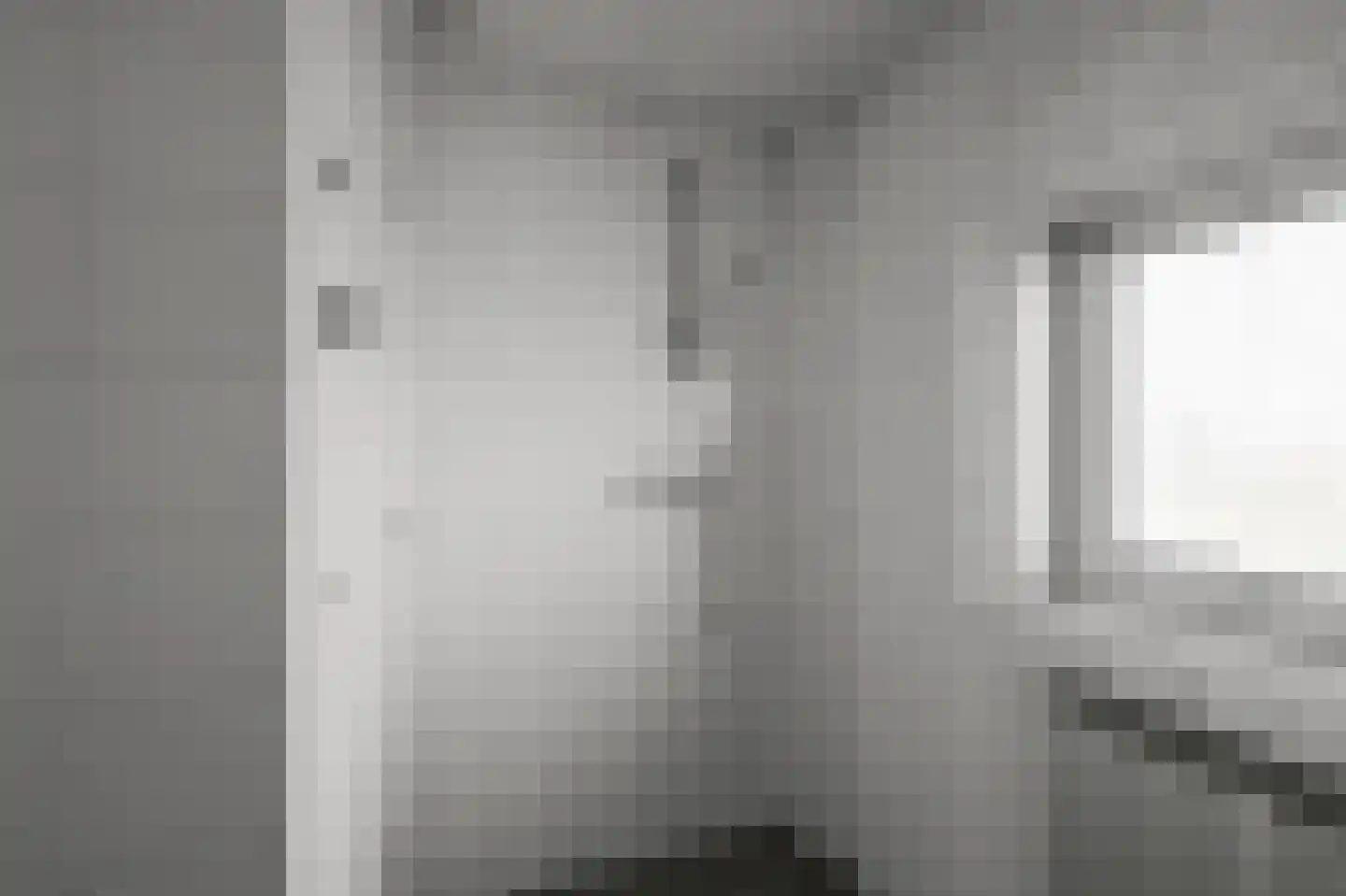 Saenredamstraat 7 Assendelft thumbnail 25