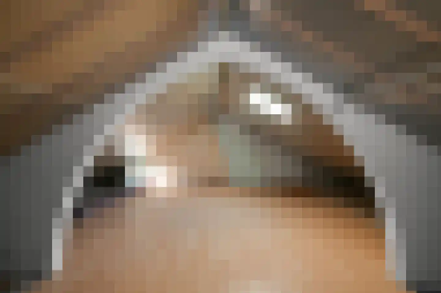Saenredamstraat 7 Assendelft thumbnail 28