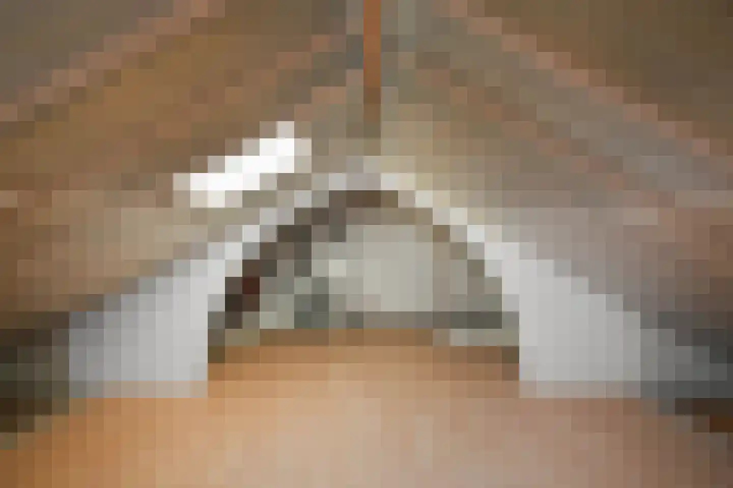 Saenredamstraat 7 Assendelft thumbnail 29