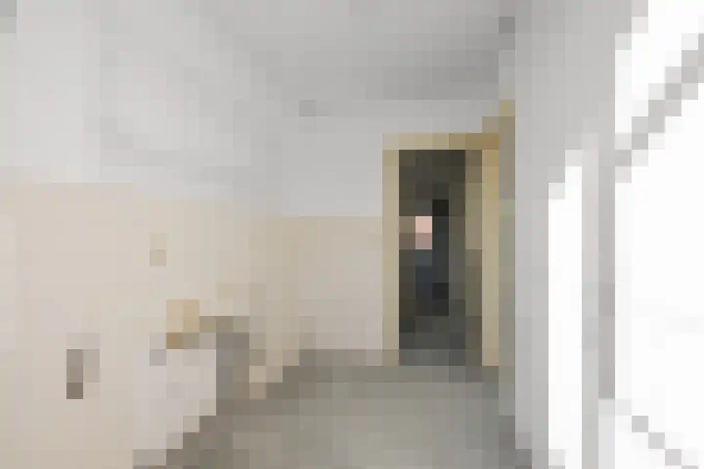 Saenredamstraat 7 Assendelft thumbnail 8
