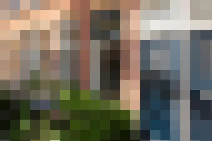 Saenredamstraat 7 ZW Haarlem thumbnail 6
