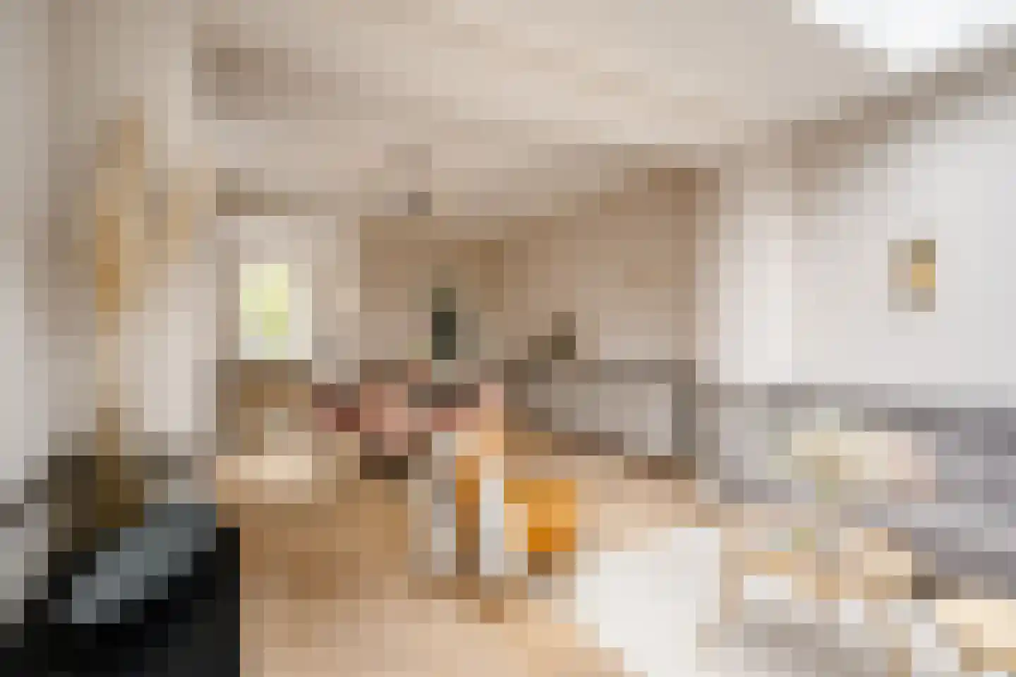 Saenredamstraat 77 Haarlem thumbnail 11