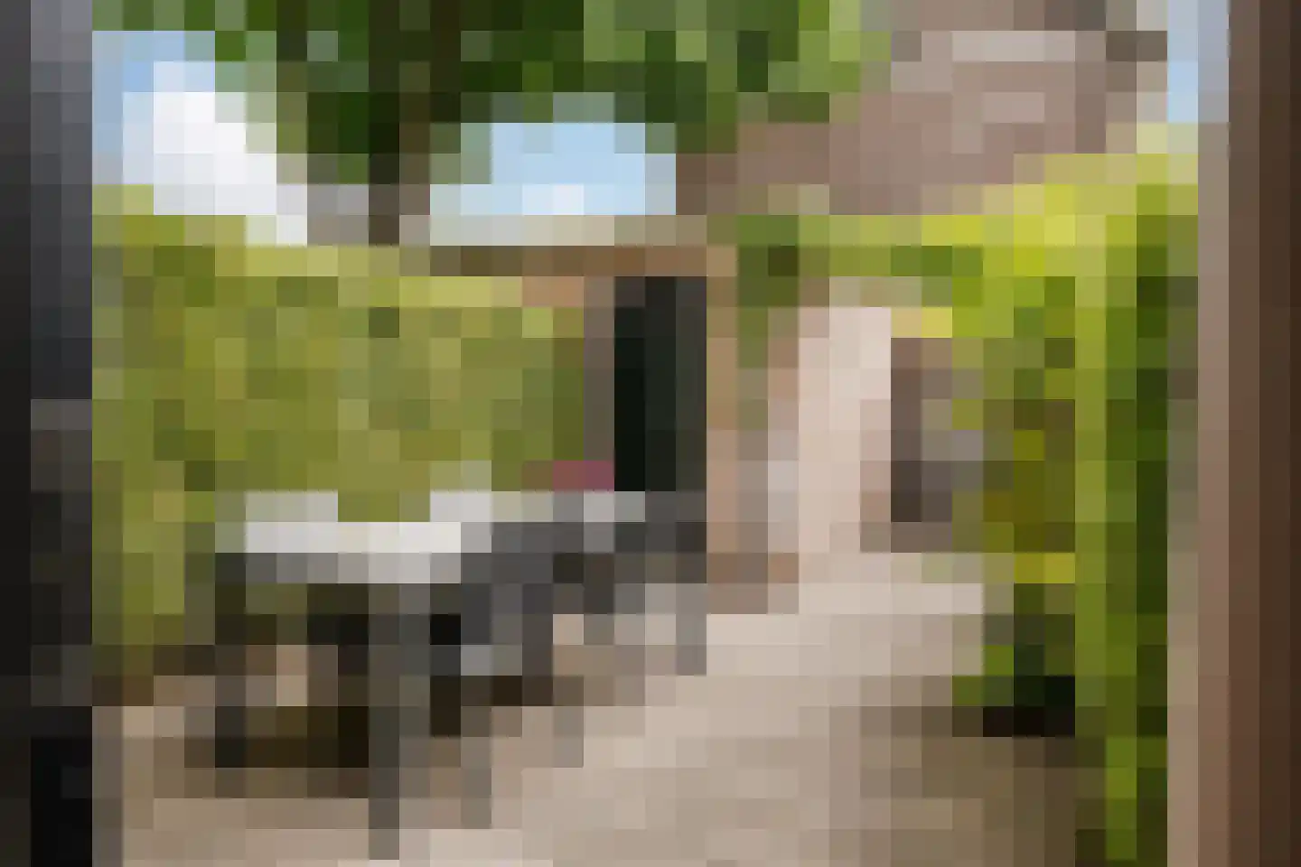 Saenredamstraat 77 Haarlem thumbnail 14