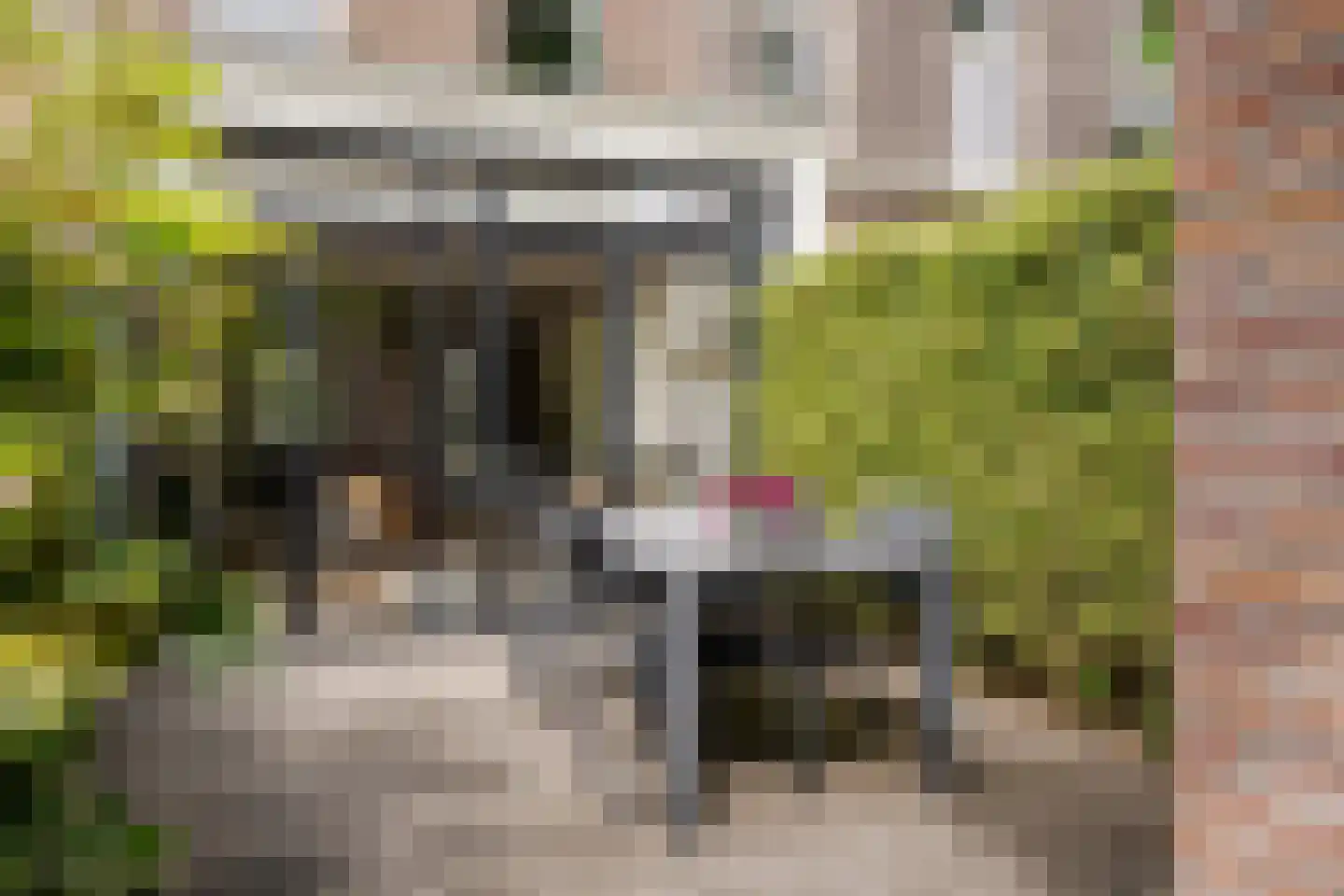 Saenredamstraat 77 Haarlem thumbnail 15