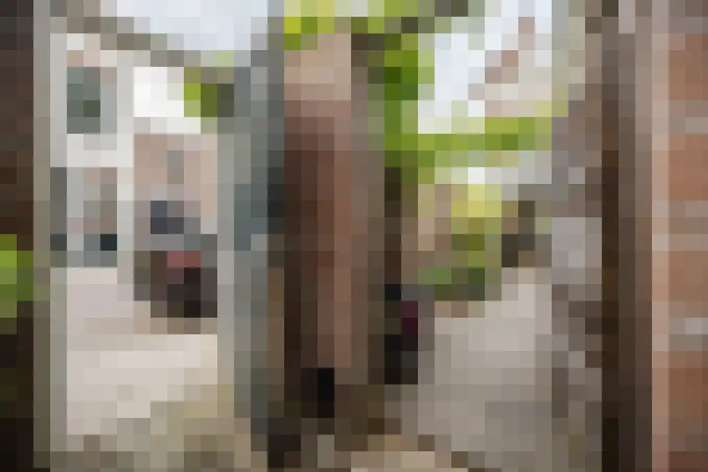 Saenredamstraat 77 Haarlem thumbnail 18