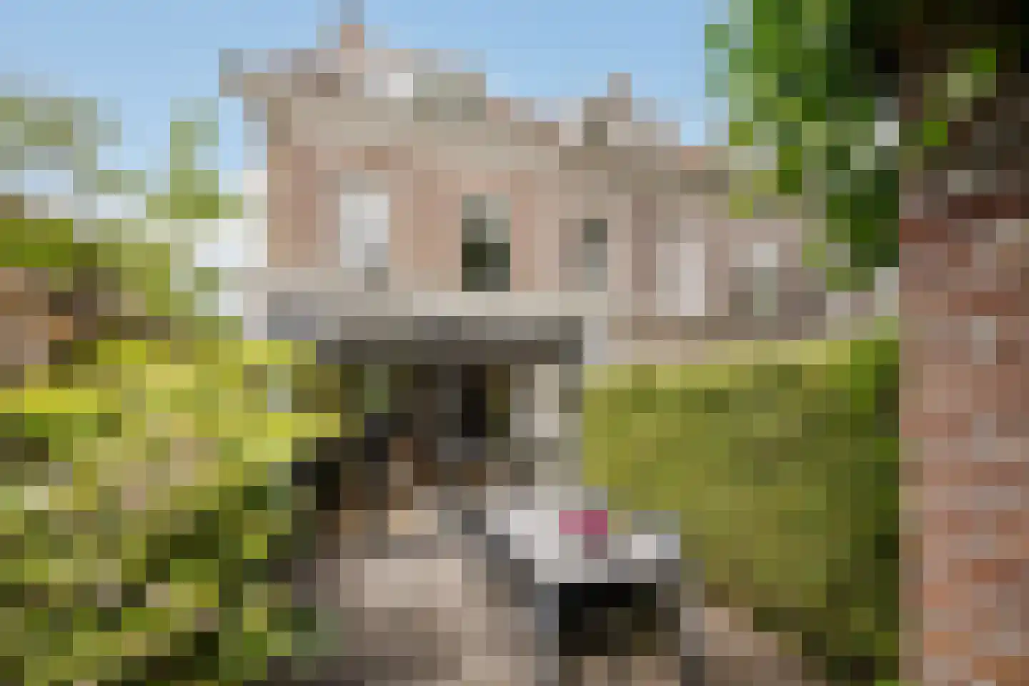 Saenredamstraat 77 Haarlem thumbnail 19