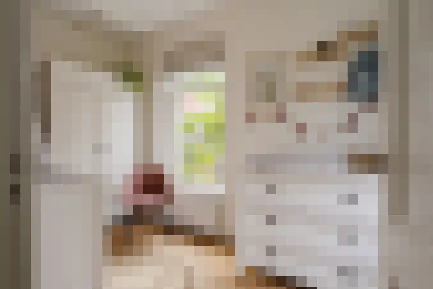 Saenredamstraat 77 Haarlem thumbnail 21