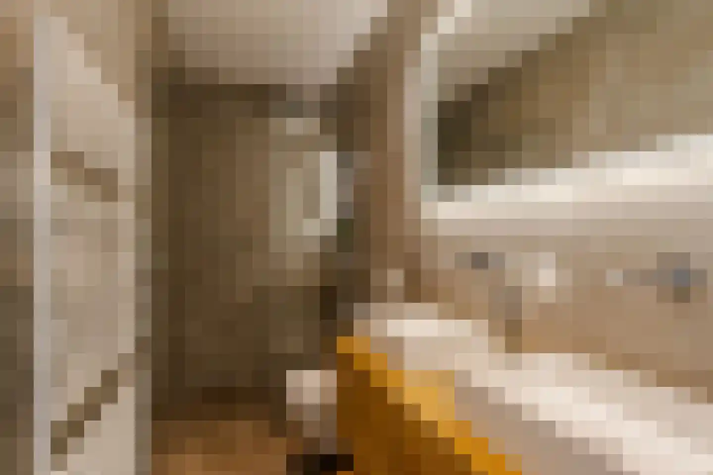 Saenredamstraat 77 Haarlem thumbnail 28
