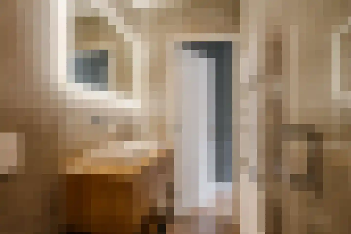 Saenredamstraat 77 Haarlem thumbnail 29