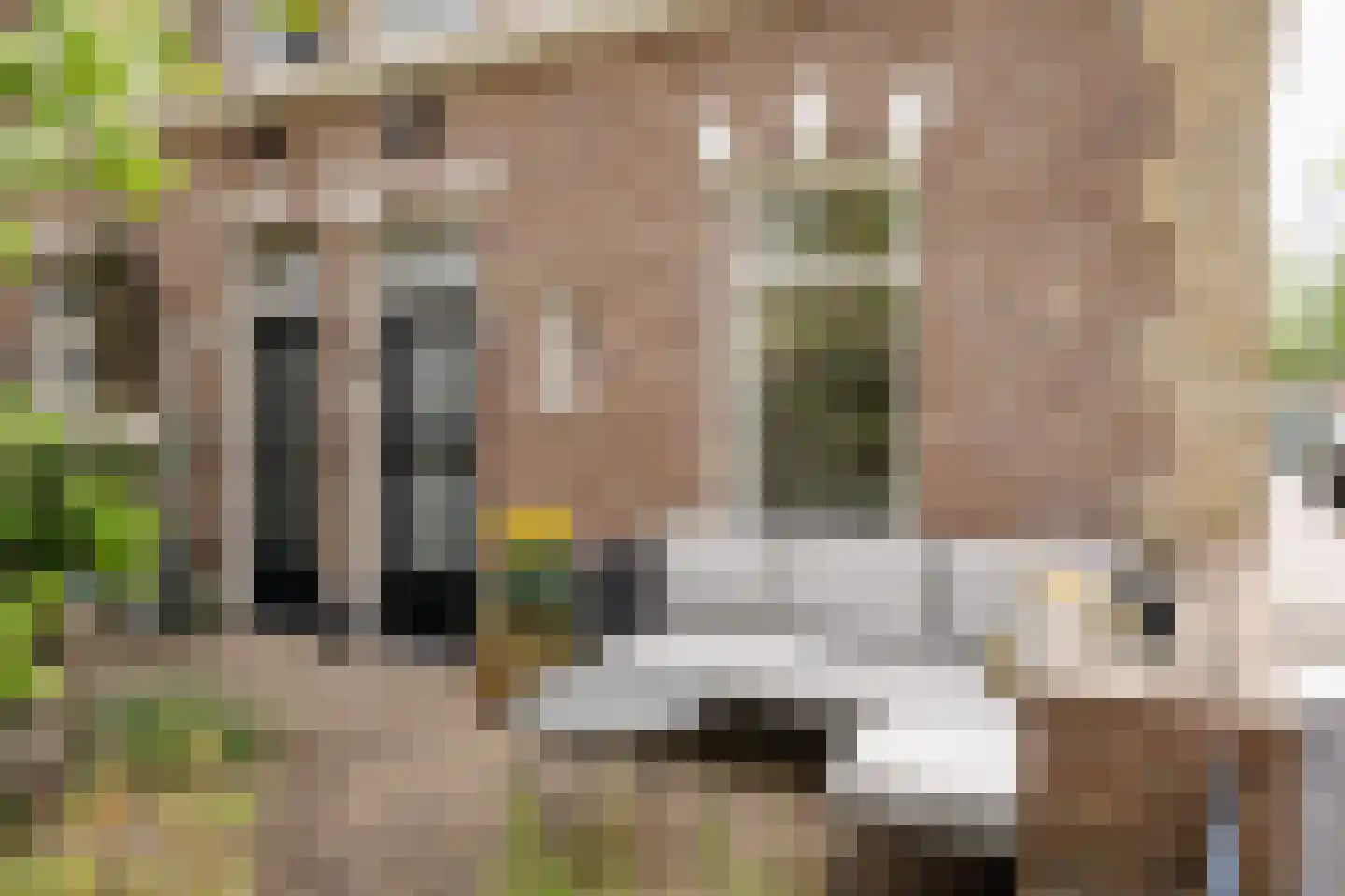 Saenredamstraat 77 Haarlem thumbnail 44