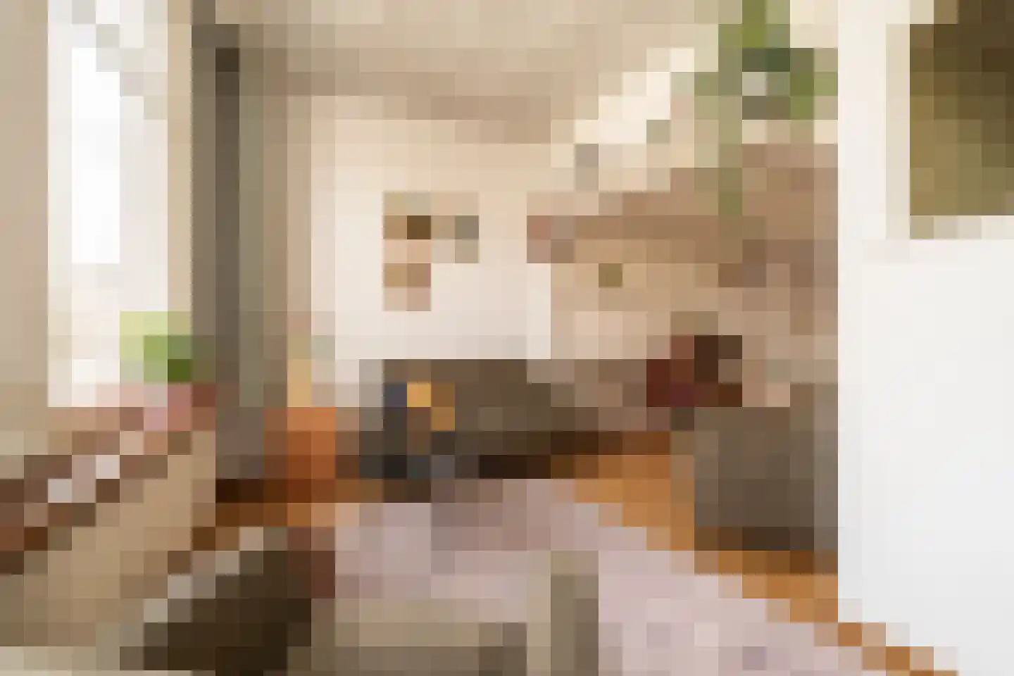 Saenredamstraat 86 Haarlem thumbnail 17