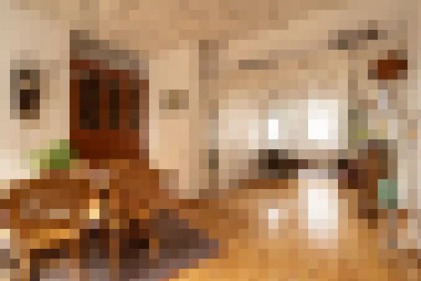 Saenredamstraat 86 Haarlem thumbnail 20