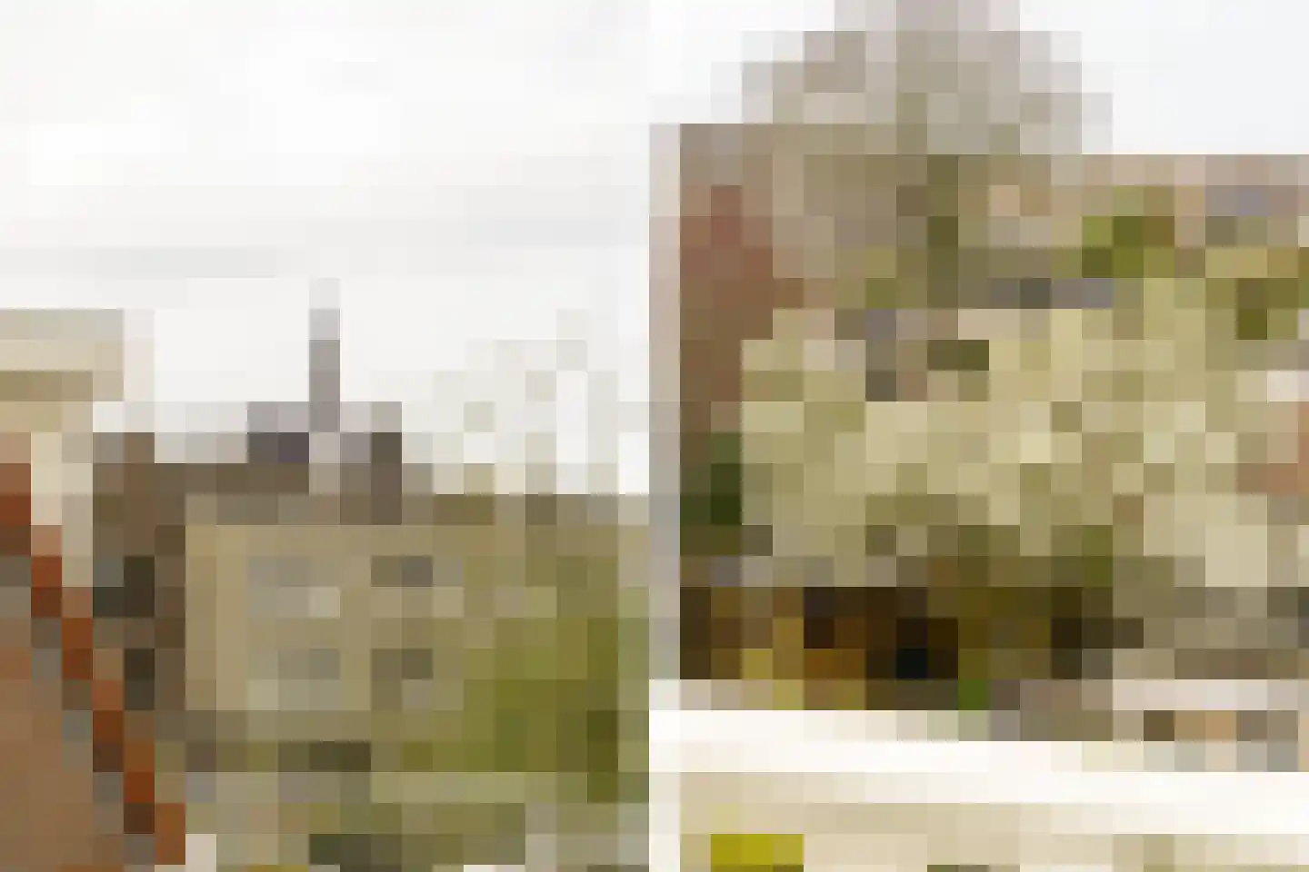 Saenredamstraat 86 Haarlem thumbnail 29