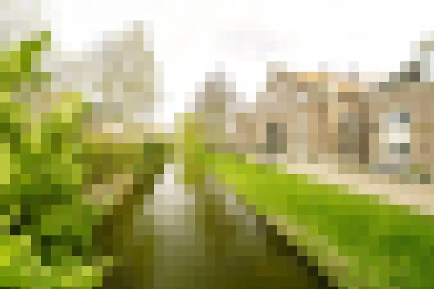 Saenredamstraat 86 Haarlem thumbnail 39