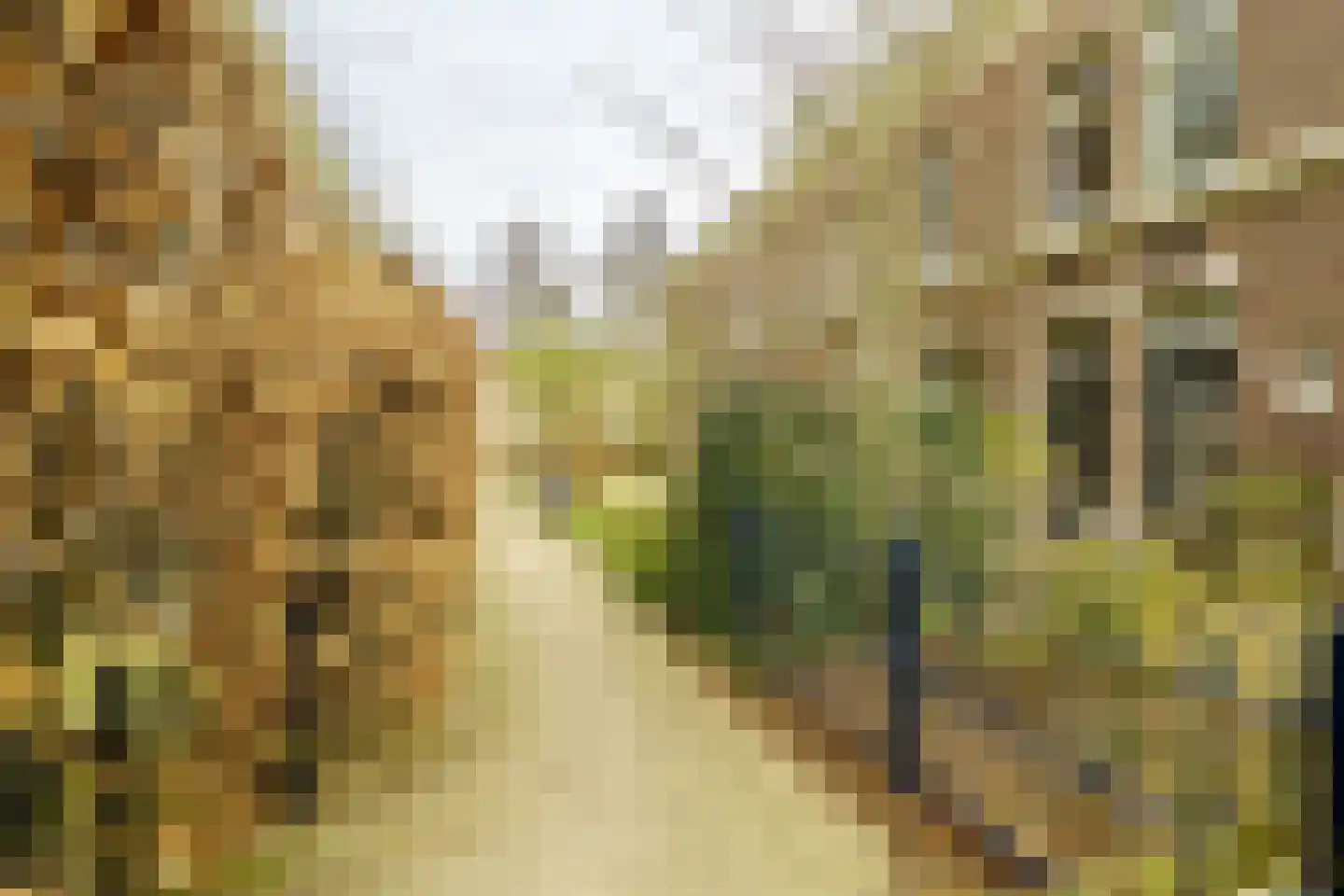 Saenredamstraat 86 Haarlem thumbnail 41