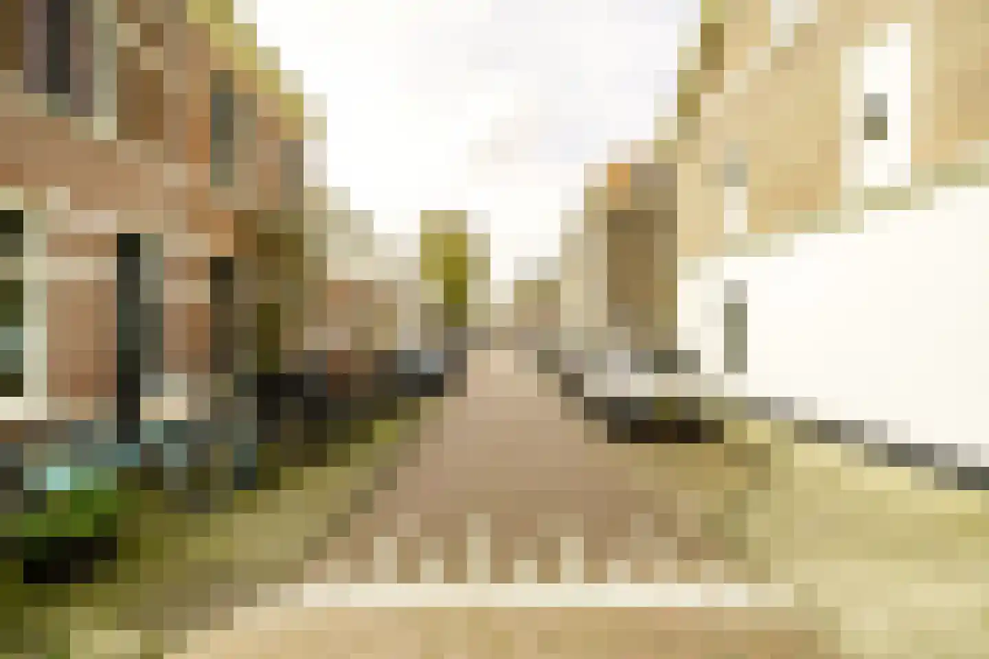 Saenredamstraat 86 Haarlem thumbnail 42
