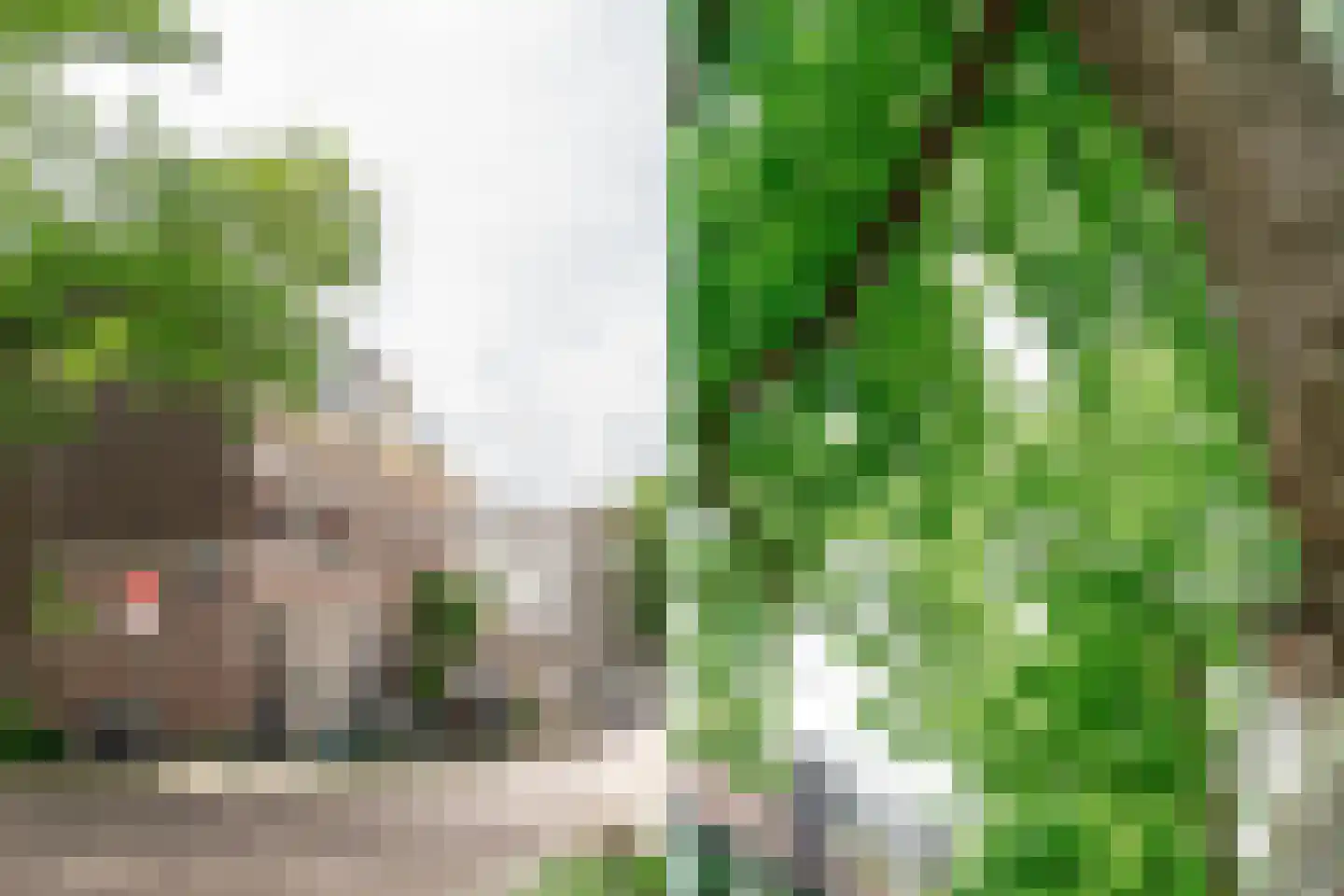 Saenredamstraat 86 Haarlem thumbnail 6