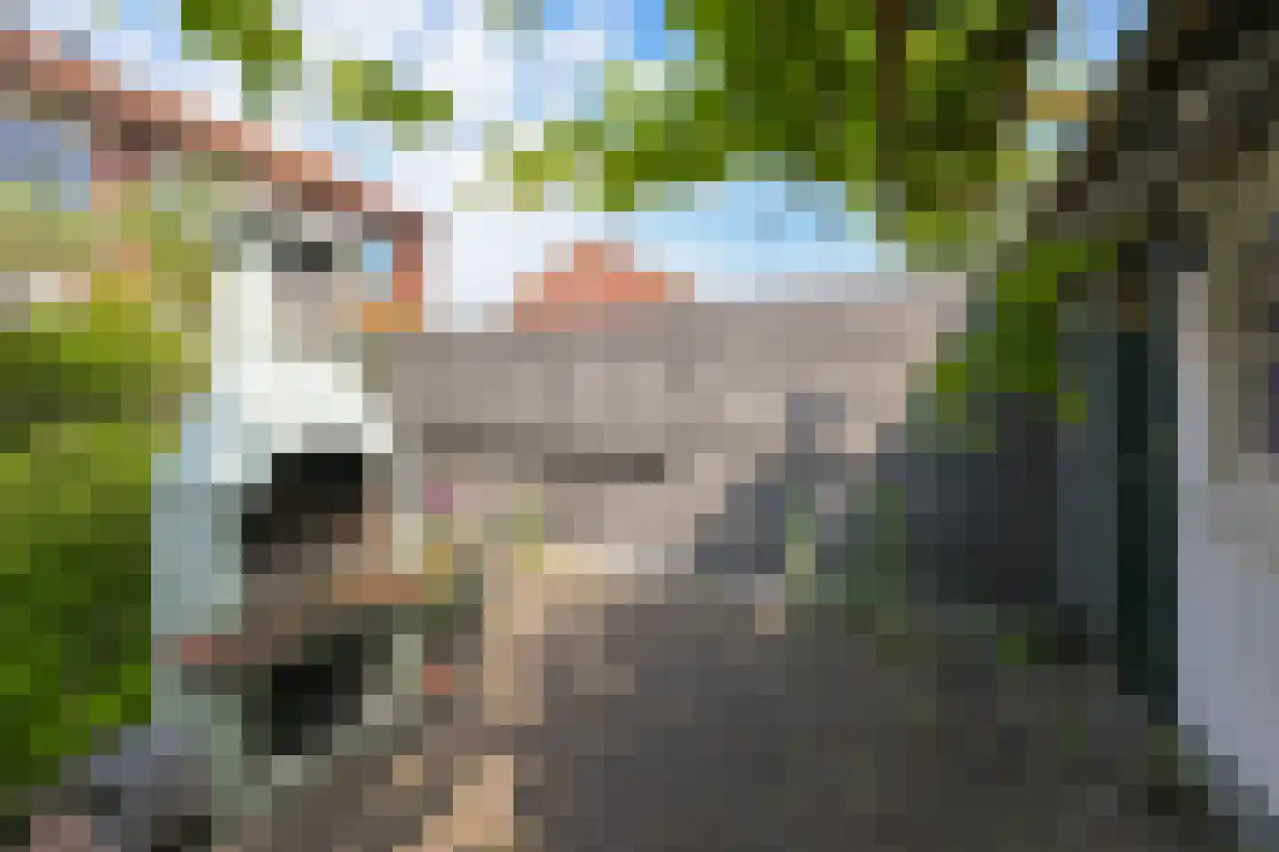 Saenredamstraat 9 Assendelft thumbnail 10