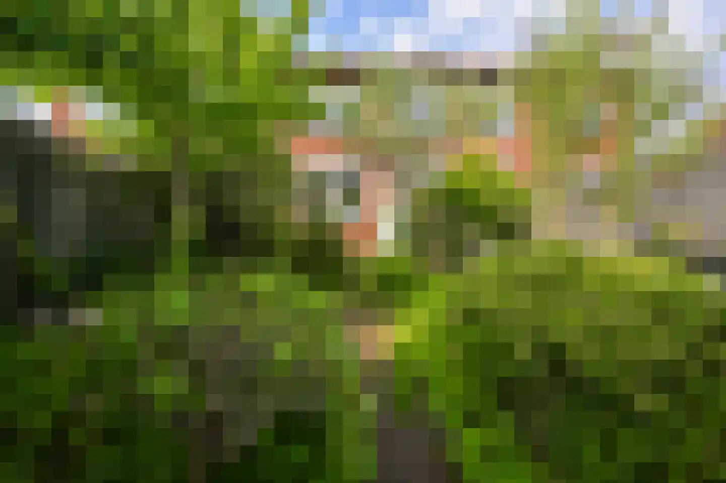 Saenredamstraat 9 Assendelft thumbnail 11