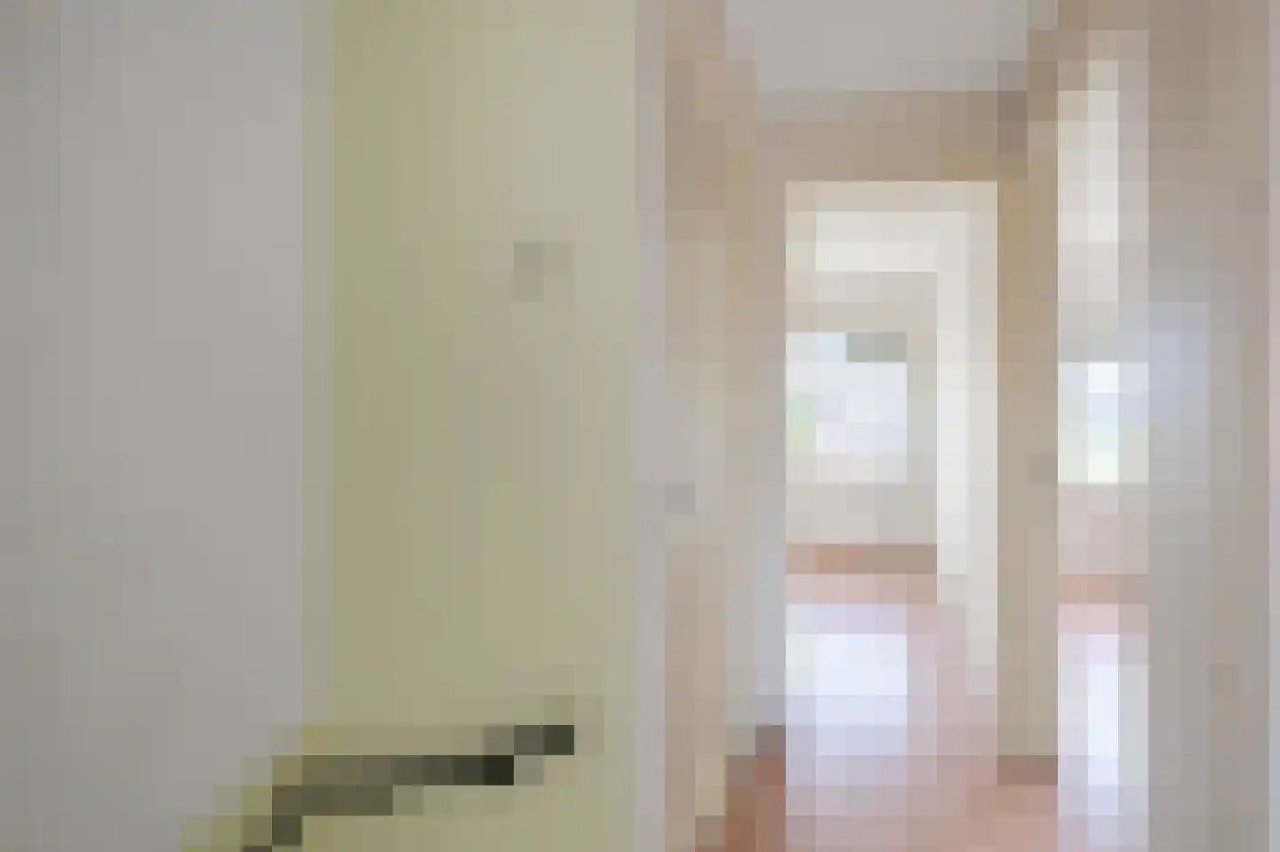 Saenredamstraat 9 Assendelft thumbnail 13