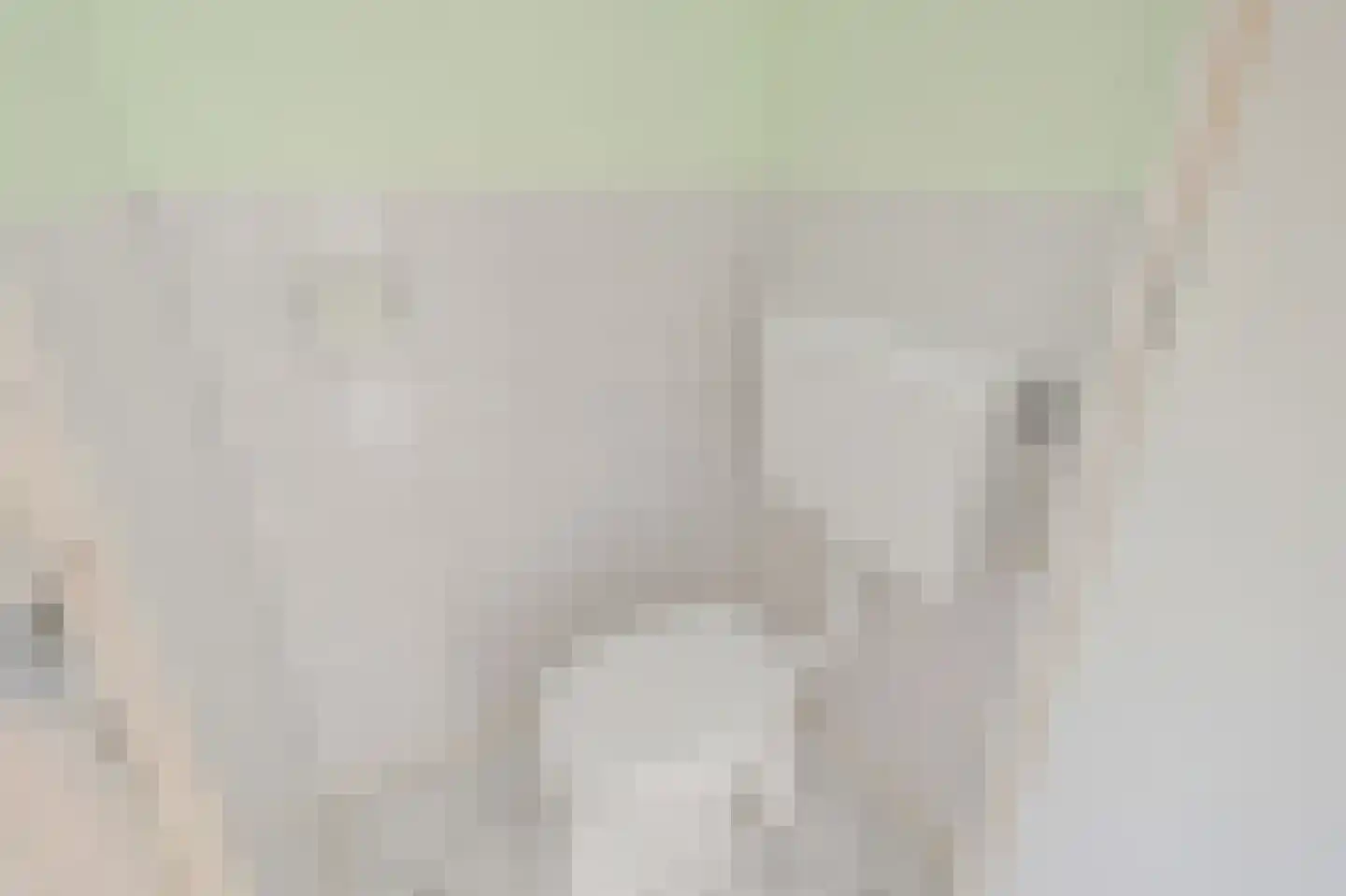 Saenredamstraat 9 Assendelft thumbnail 17