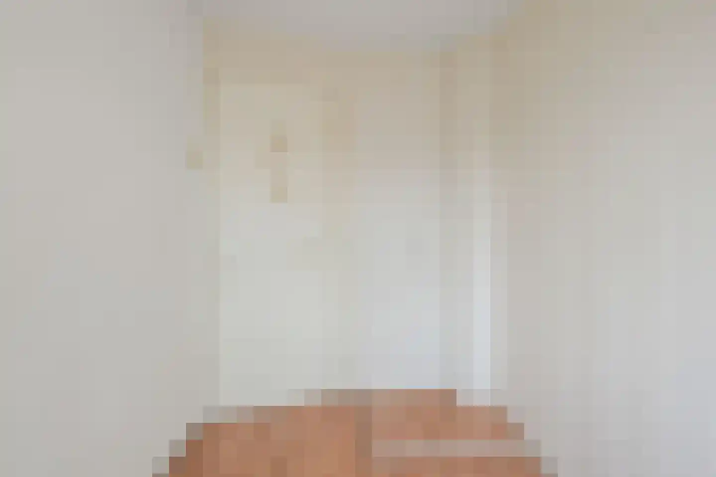 Saenredamstraat 9 Assendelft thumbnail 19