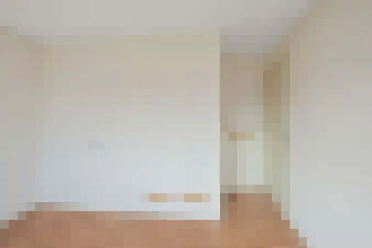 Saenredamstraat 9 Assendelft thumbnail 21