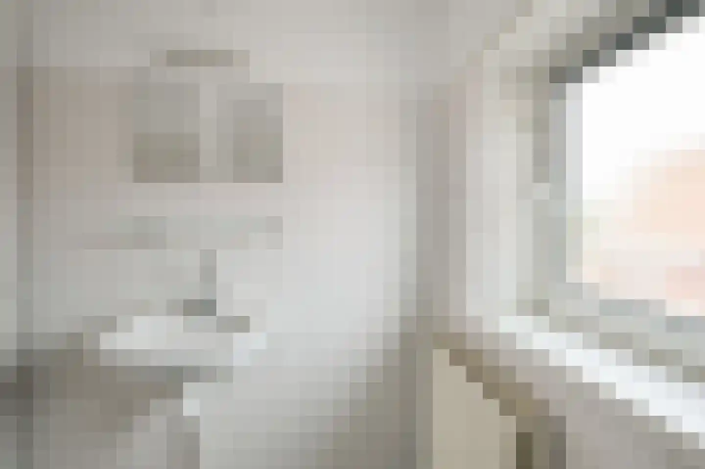 Saenredamstraat 9 Assendelft thumbnail 25