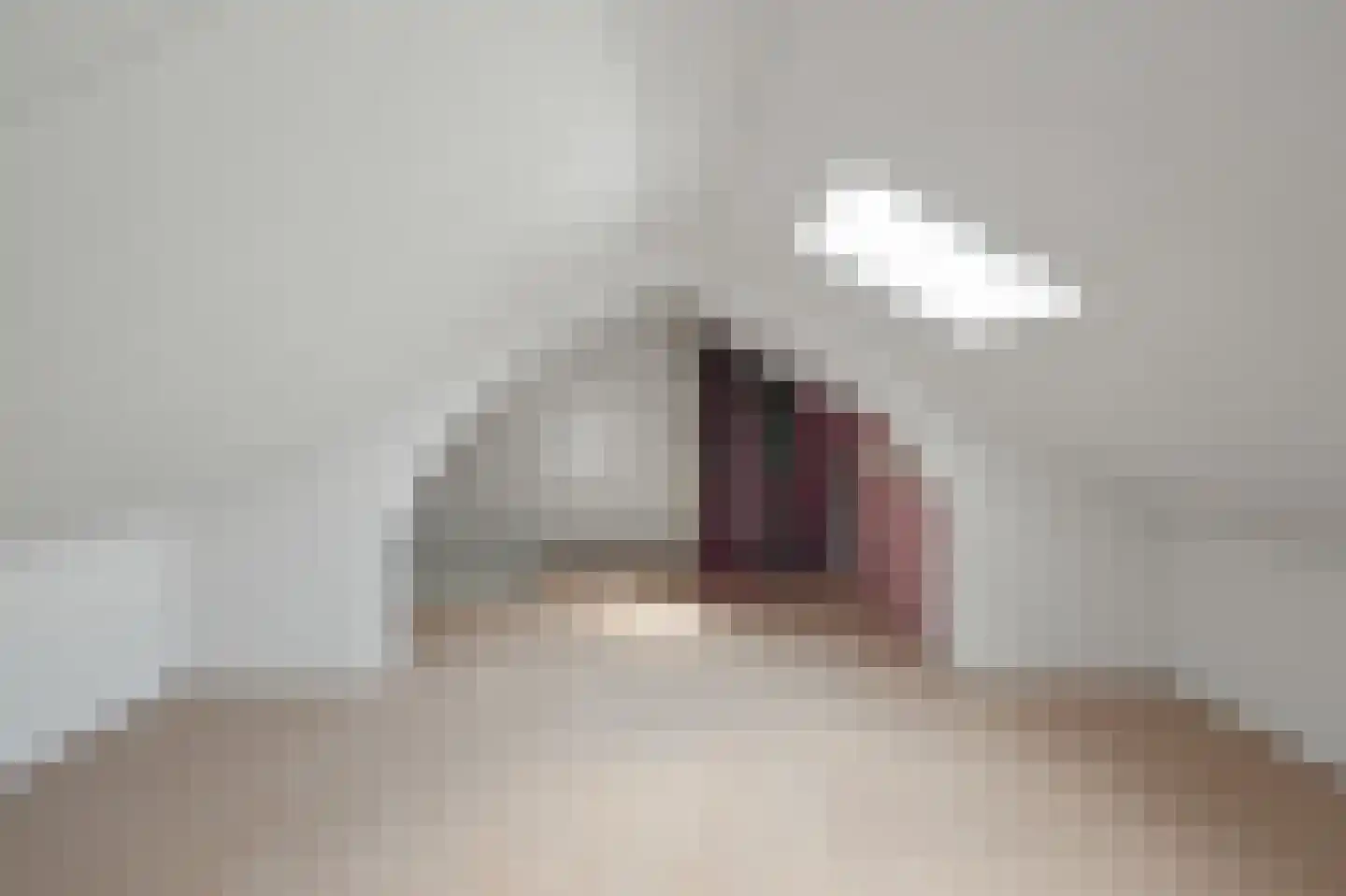Saenredamstraat 9 Assendelft thumbnail 28