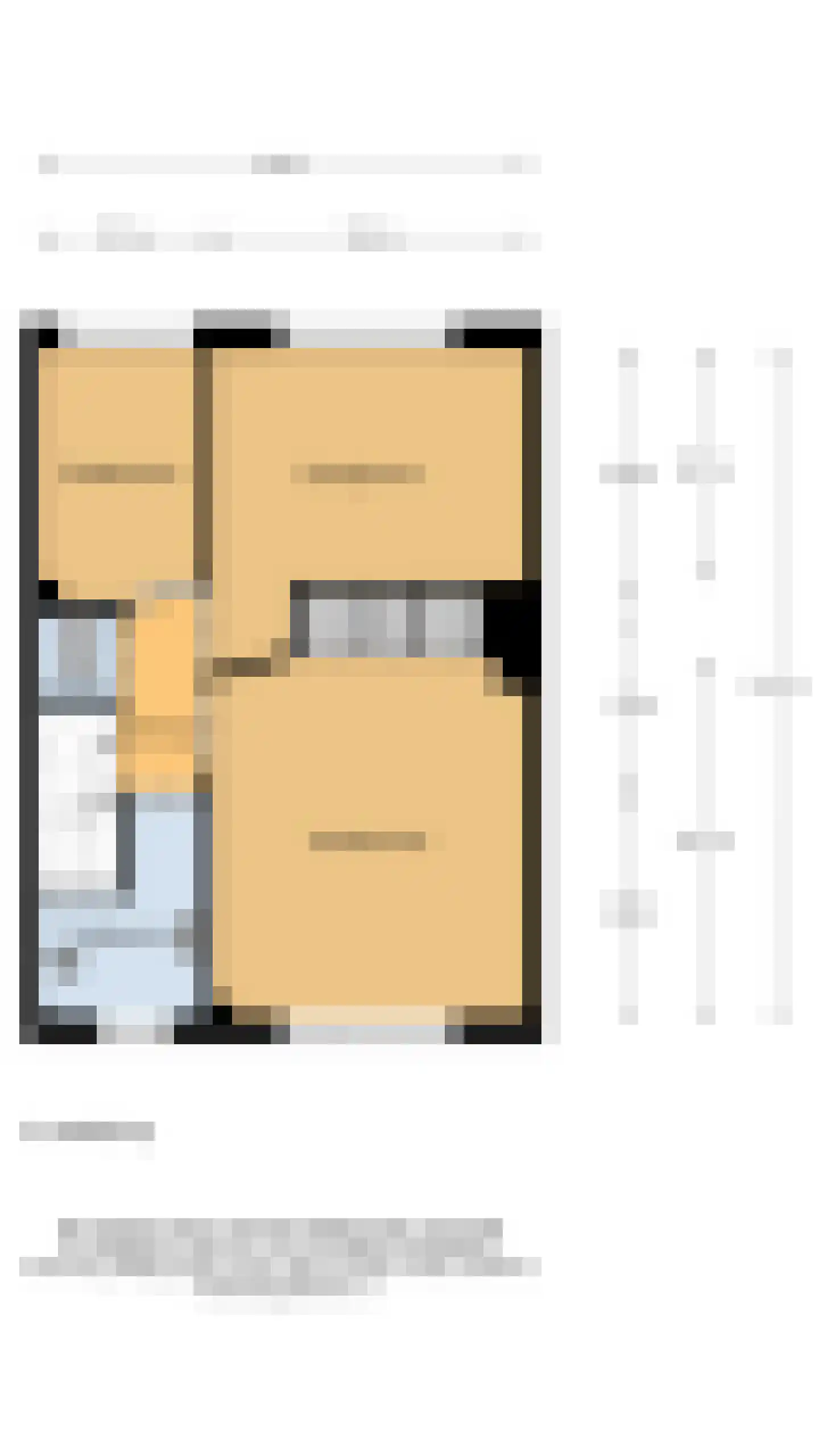 Saenredamstraat 9 Assendelft thumbnail 30