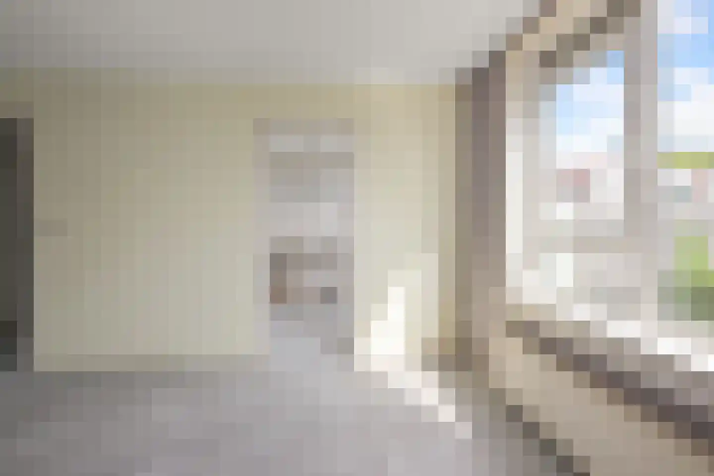 Saenredamstraat 9 Assendelft thumbnail 5