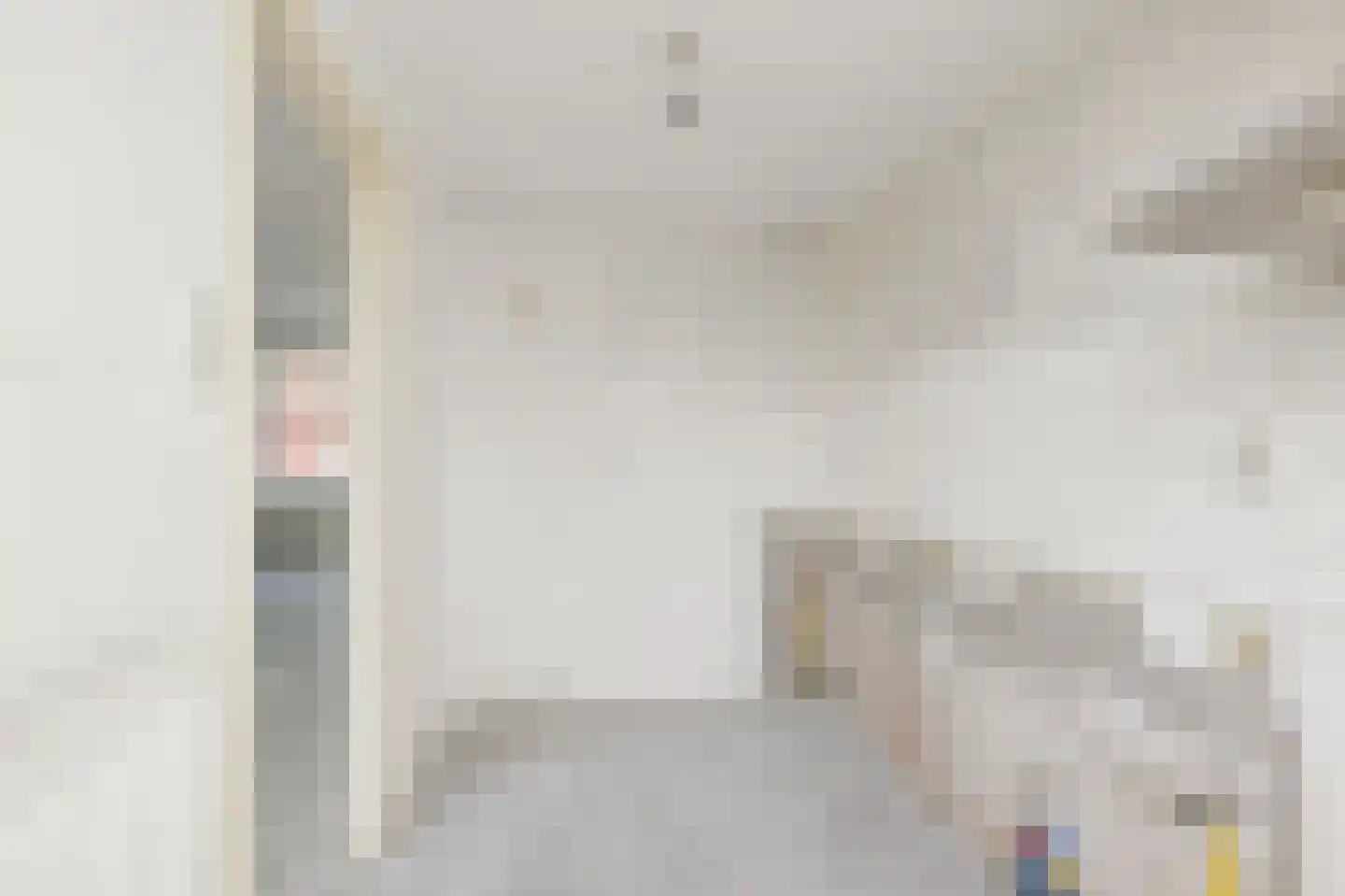 Saenredamstraat 9 Assendelft thumbnail 7