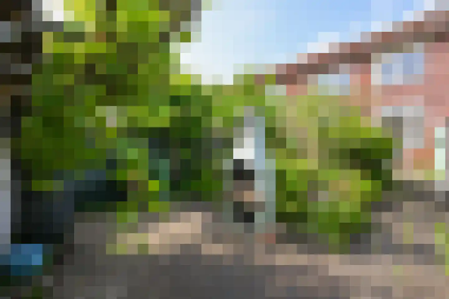 Saenredamstraat 9 Assendelft thumbnail 9