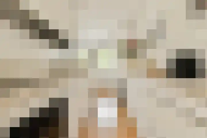 Saenredamstraat 9 C Amsterdam thumbnail 5
