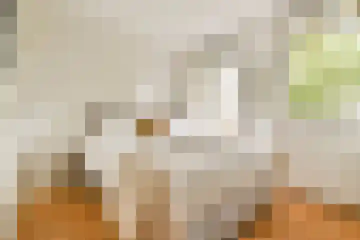 Saenredamstraat 9 C Amsterdam thumbnail 7