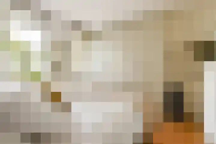 Saenredamstraat 9 C Amsterdam thumbnail 8