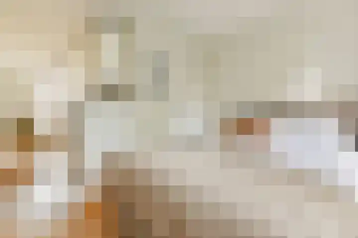 Saenredamstraat 9 C Amsterdam thumbnail 9
