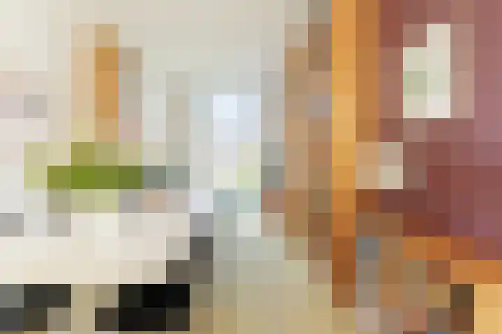 Saenredamstraat 9 Haarlem thumbnail 21