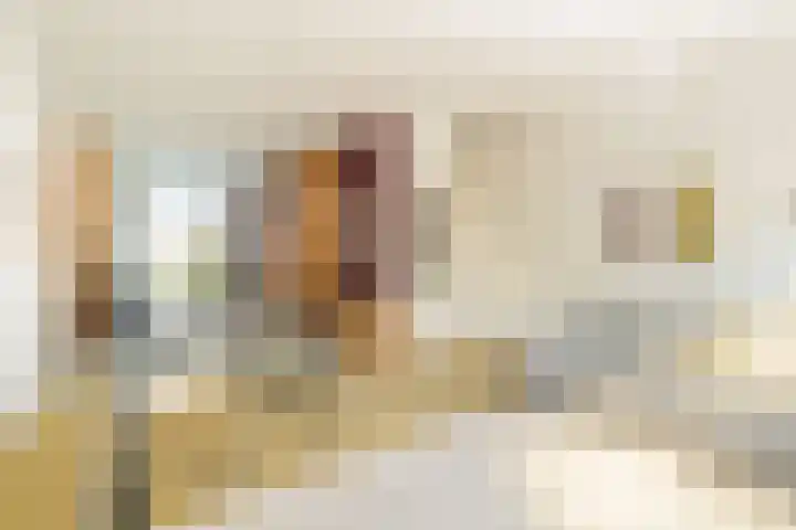 Saenredamstraat 9 Haarlem thumbnail 6